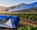Tarflex de 200 gramos para agricultura